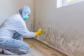 Professional Mold Remediation in Rockwell, AR